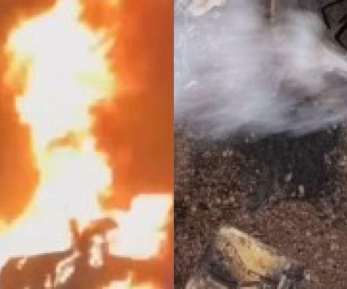 Acidente na Br-010 em Paragominas deixa vítima fatal e veículos carbonizados