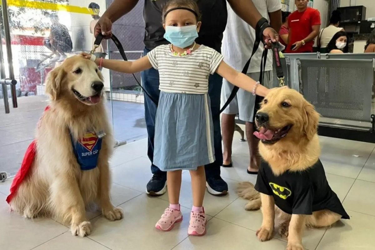 Animais (TAA) para ajudar no bem-estar emocional dos pacientes. A pequena Julian