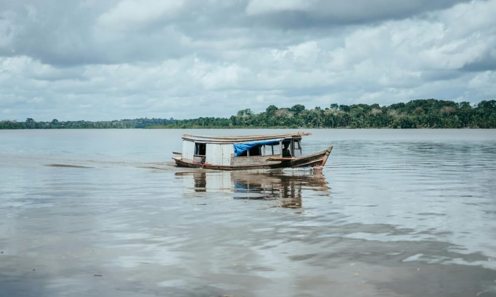 Foto: Maurylio Silva / Pexels