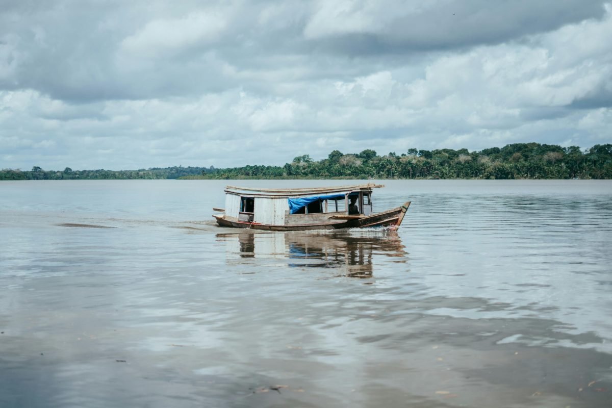 Foto: Maurylio Silva / Pexels