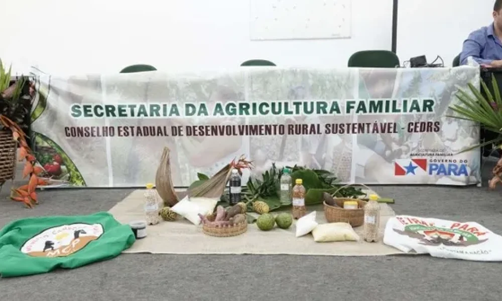 Secretaria de Agricultura Familiar do Pará abre 20 vagas em processos seletivos