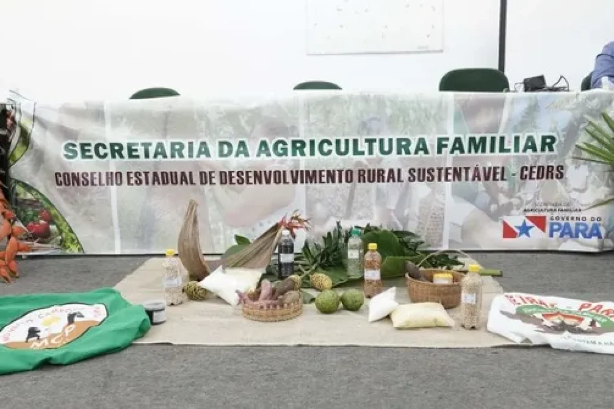 Secretaria de Agricultura Familiar do Pará abre 20 vagas em processos seletivos