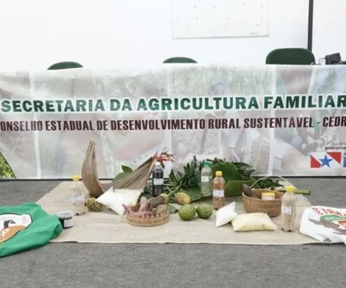Secretaria de Agricultura Familiar do Pará abre 20 vagas em processos seletivos