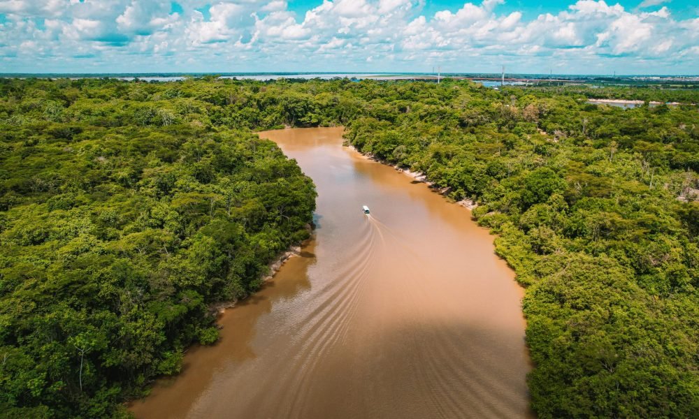 Foto: Nando Freitas / Pexels