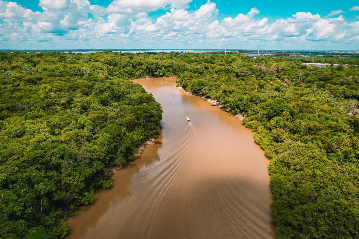 Foto: Nando Freitas / Pexels
