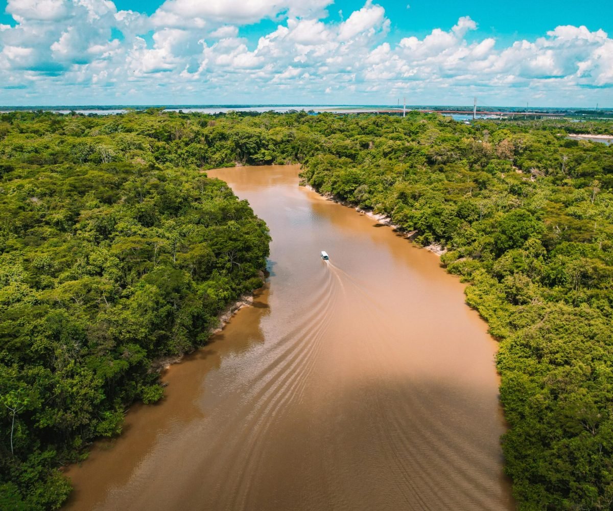 Foto: Nando Freitas / Pexels