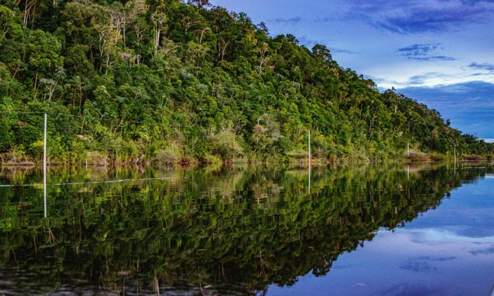 Foto: michel amazonas / Pexels