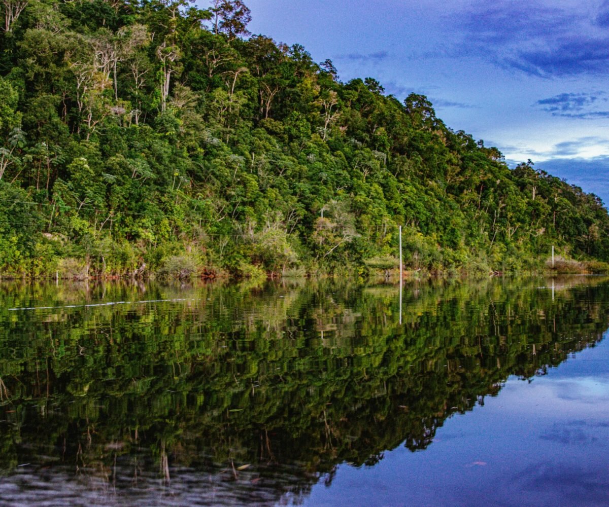 Foto: michel amazonas / Pexels