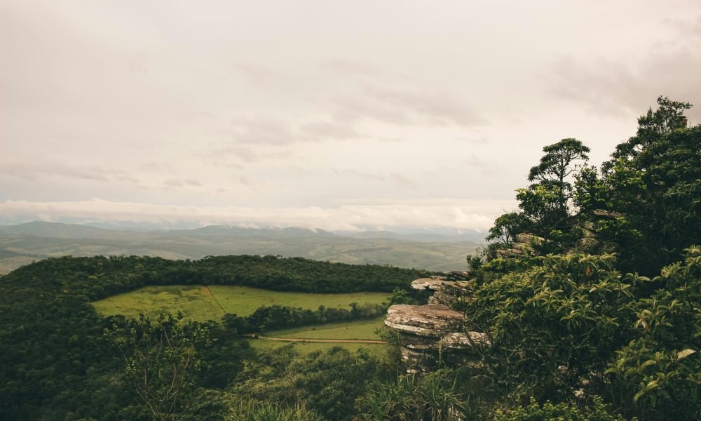 Foto: Victor Freitas / Pexels