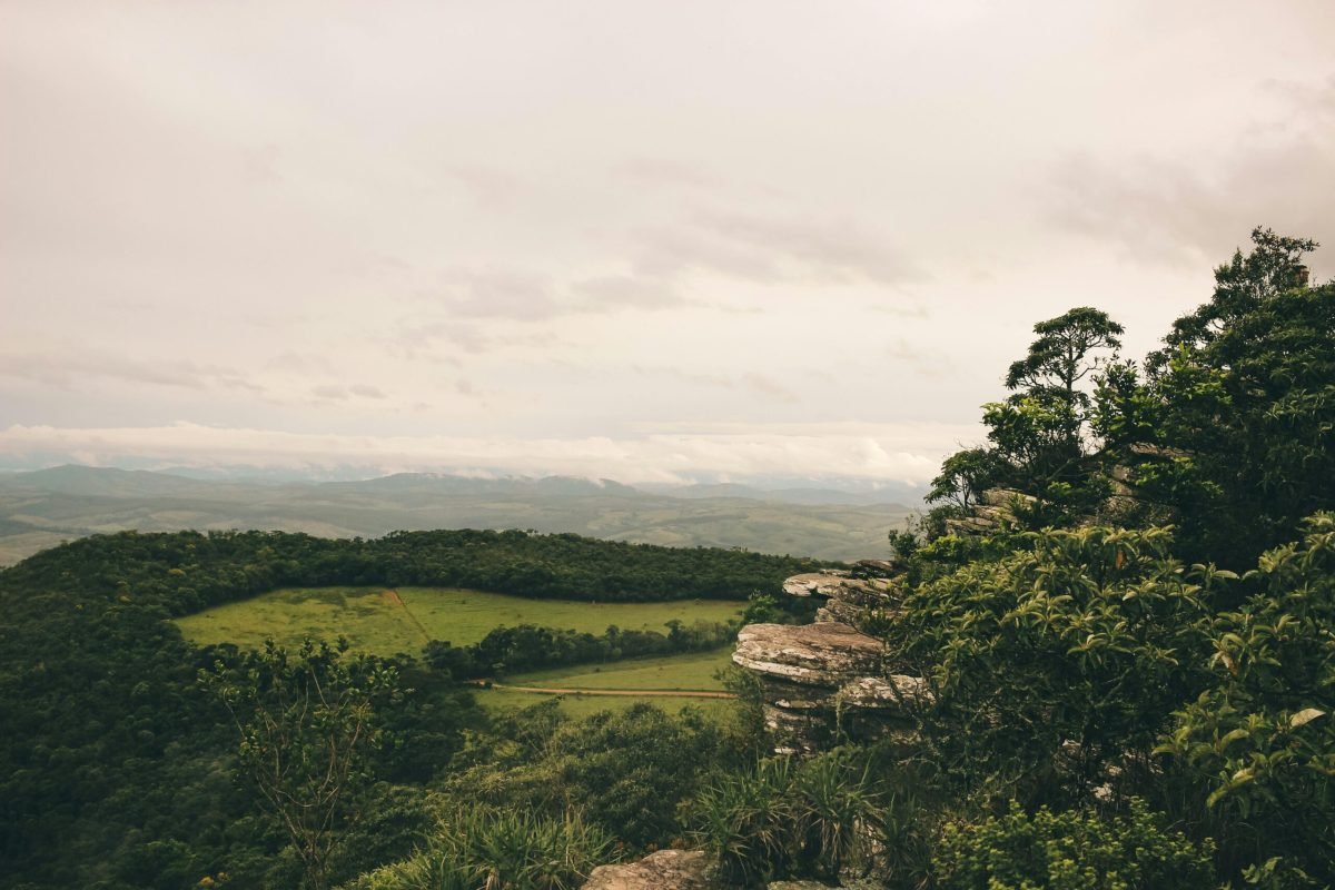 Foto: Victor Freitas / Pexels
