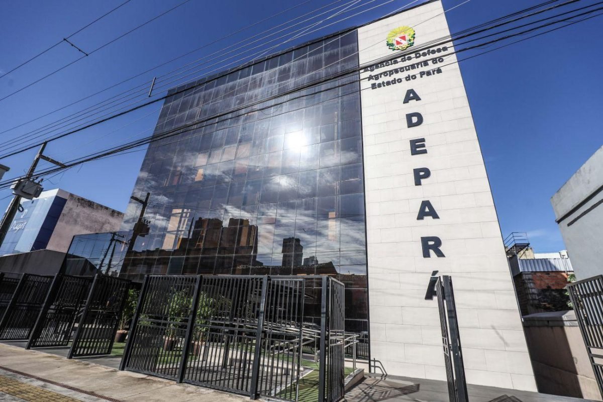 Adepará abre inscrições para processo seletivo com vagas em diversos municípios do Pará