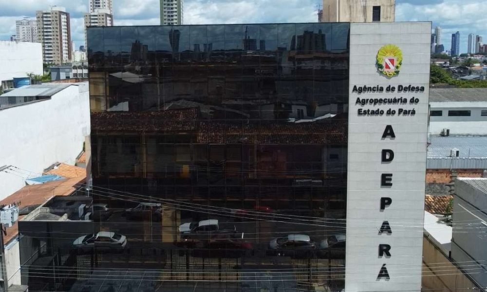 Adepará lança processos seletivos com 16 vagas e salários de até R$ 2,9 mil