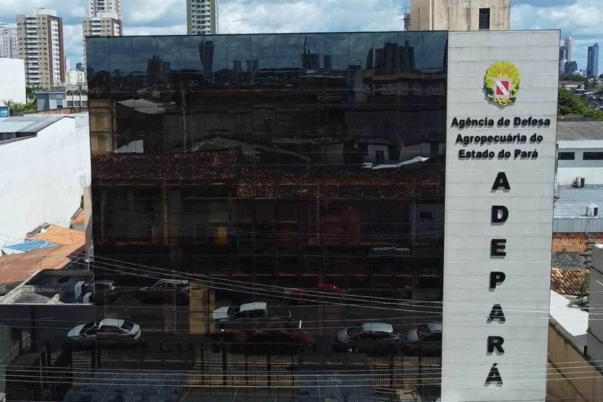 Adepará lança processos seletivos com 16 vagas e salários de até R$ 2,9 mil