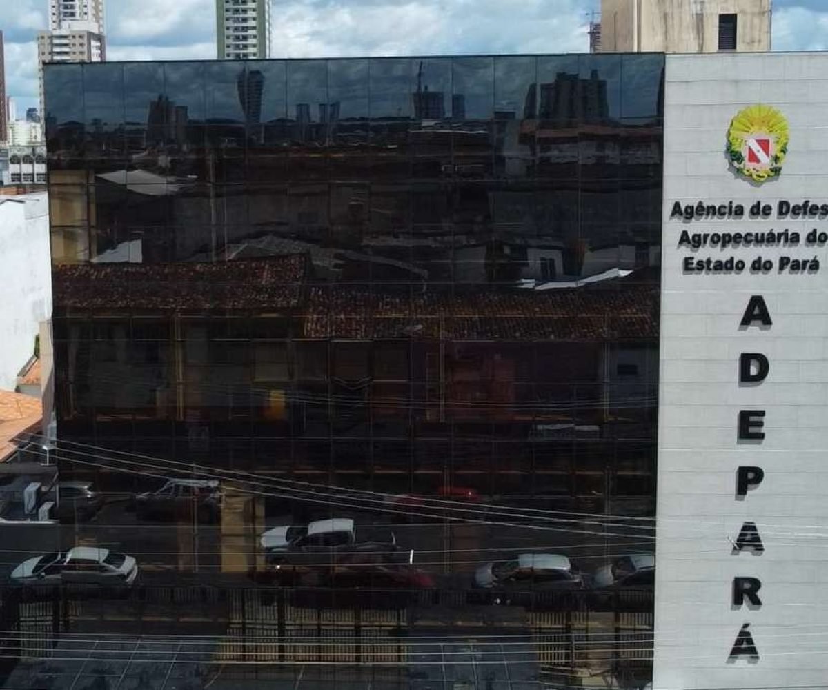 Adepará lança processos seletivos com 16 vagas e salários de até R$ 2,9 mil