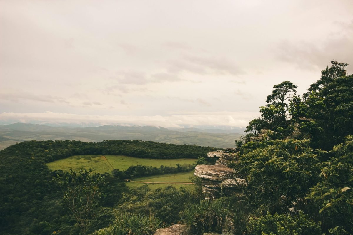 Foto: Victor Freitas / Pexels