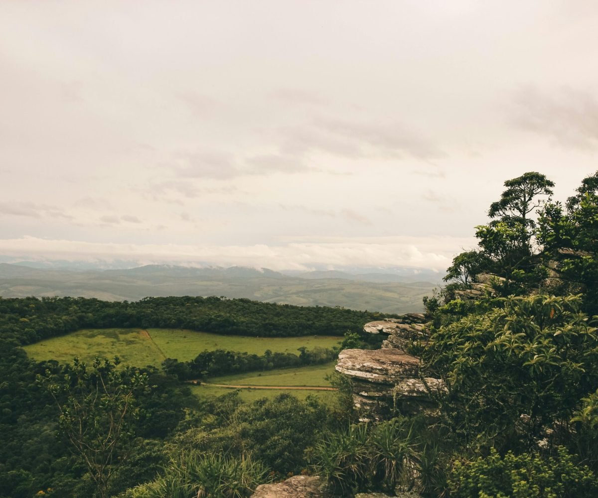 Foto: Victor Freitas / Pexels