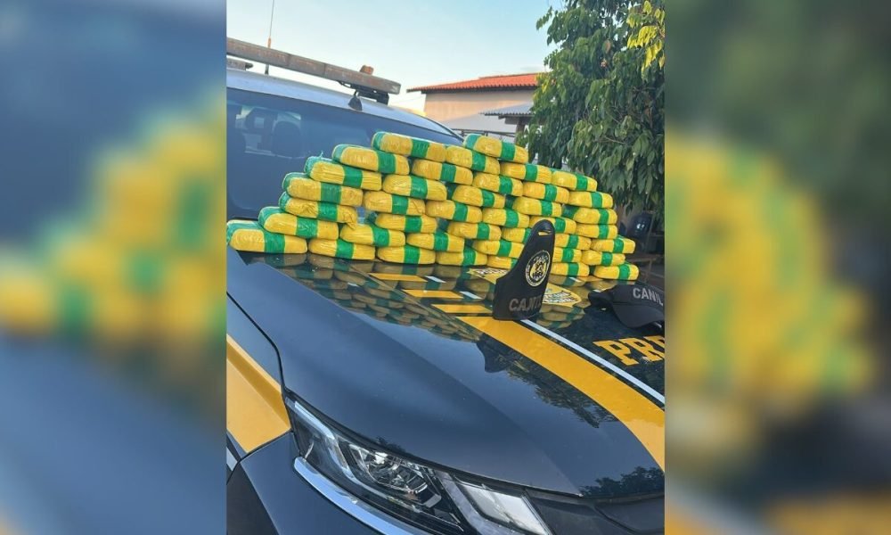 te Concursos Colunistas Entretenimento Menu Cidades Política Polícia Esportes Co