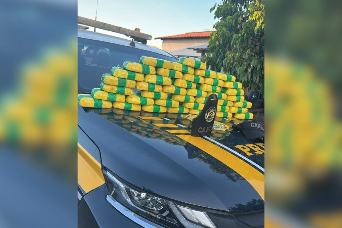 te Concursos Colunistas Entretenimento Menu Cidades Política Polícia Esportes Co