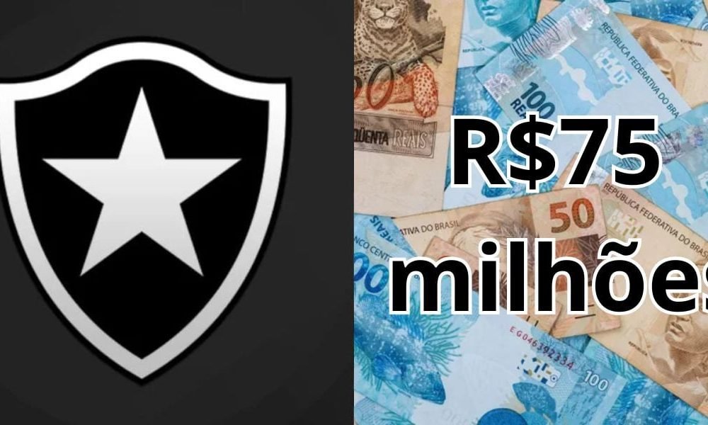 Botafogo define metas de mercado e projeta arrecadação de R$ 75 milhões com vendas