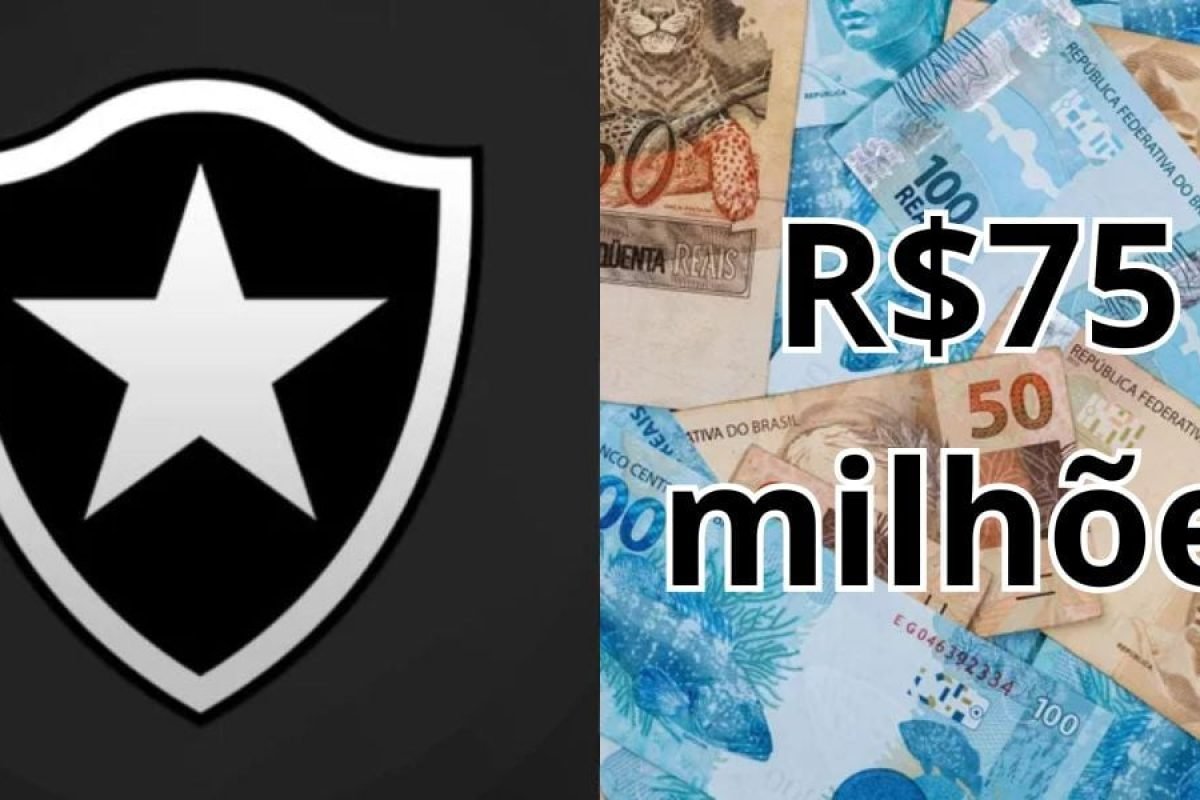 Botafogo define metas de mercado e projeta arrecadação de R$ 75 milhões com vendas