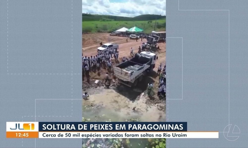 Cerca de 50 mil espécies de peixes são soltos no rio Uraim, em Paragominas
