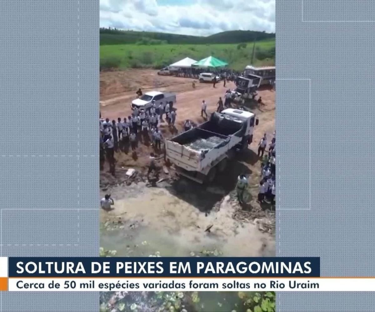 Cerca de 50 mil espécies de peixes são soltos no rio Uraim, em Paragominas
