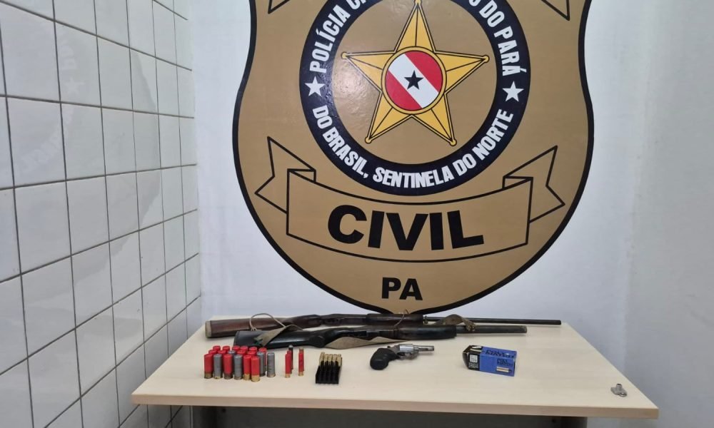 Armas apreendidas na Operação Paz no Chapadão Dominique Cavaleiro/g1