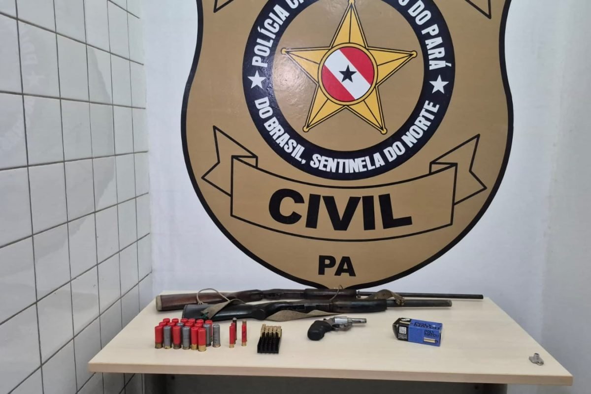 Armas apreendidas na Operação Paz no Chapadão Dominique Cavaleiro/g1