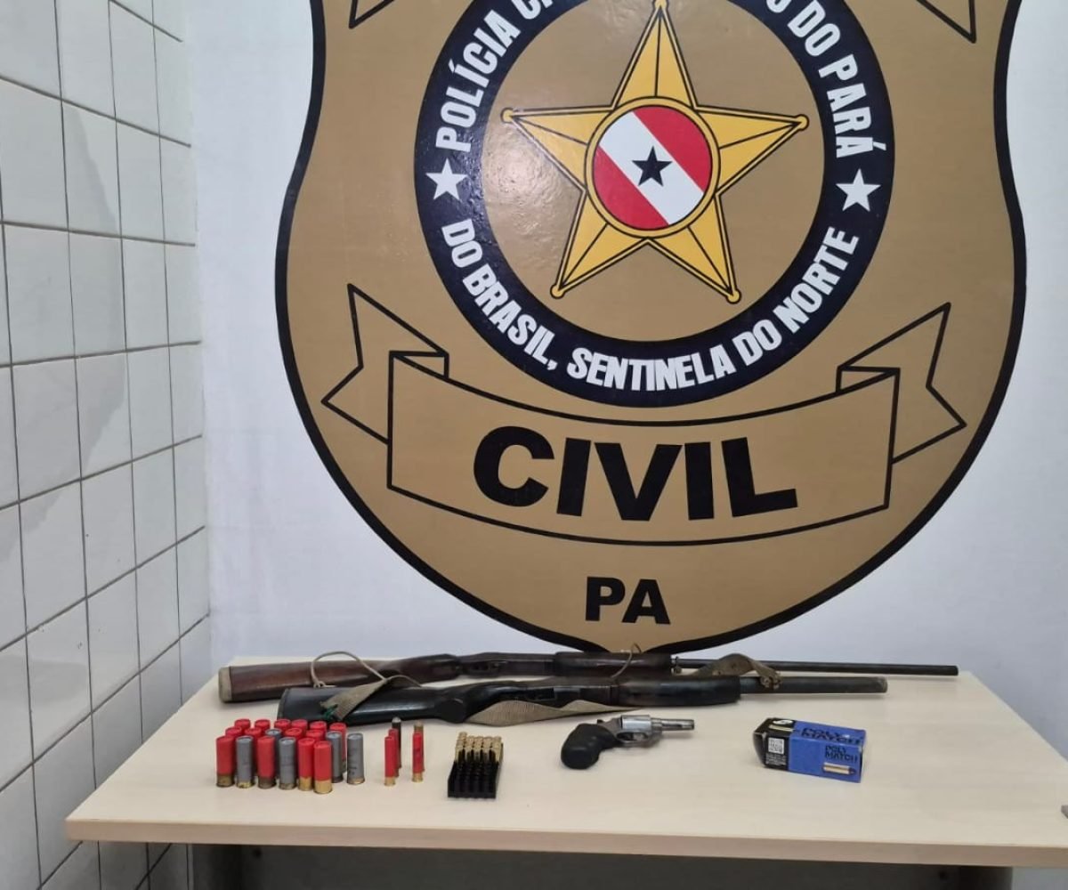 Armas apreendidas na Operação Paz no Chapadão Dominique Cavaleiro/g1