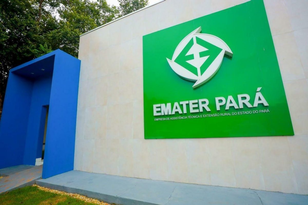 Emater Pará lança seleção com 14 vagas e salários de até R$ 4,7 mil para níveis médio e superior
