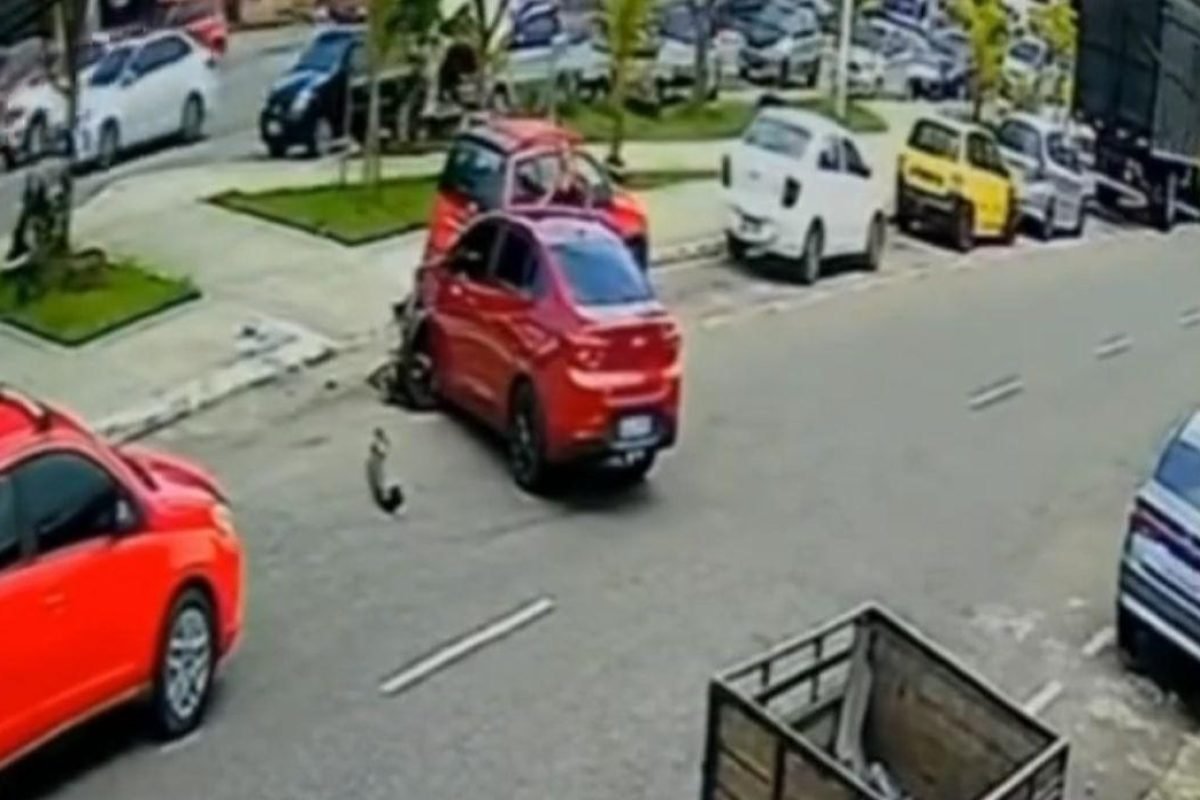 pouco de ser atropelada por um carro desgovernado enquanto tentava atravessar a