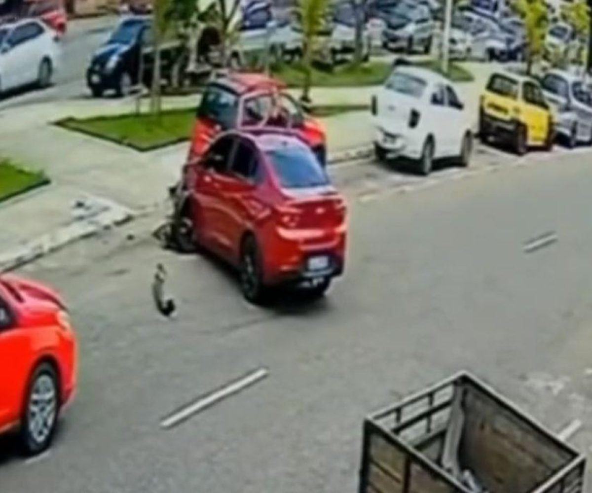 pouco de ser atropelada por um carro desgovernado enquanto tentava atravessar a