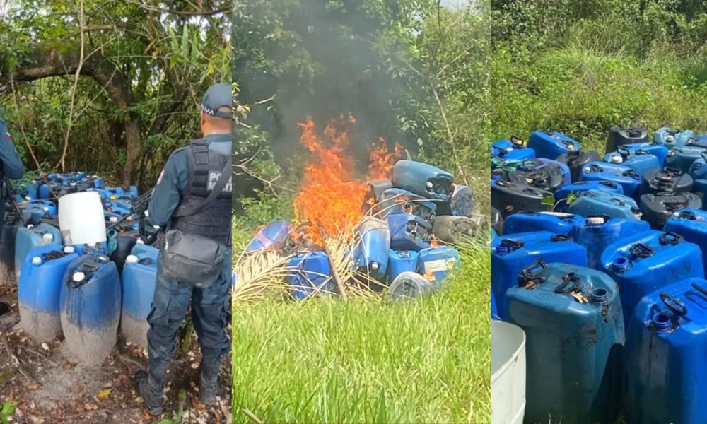 te e ao tipo do material, todos os produtos encontrados foram incinerados no pró