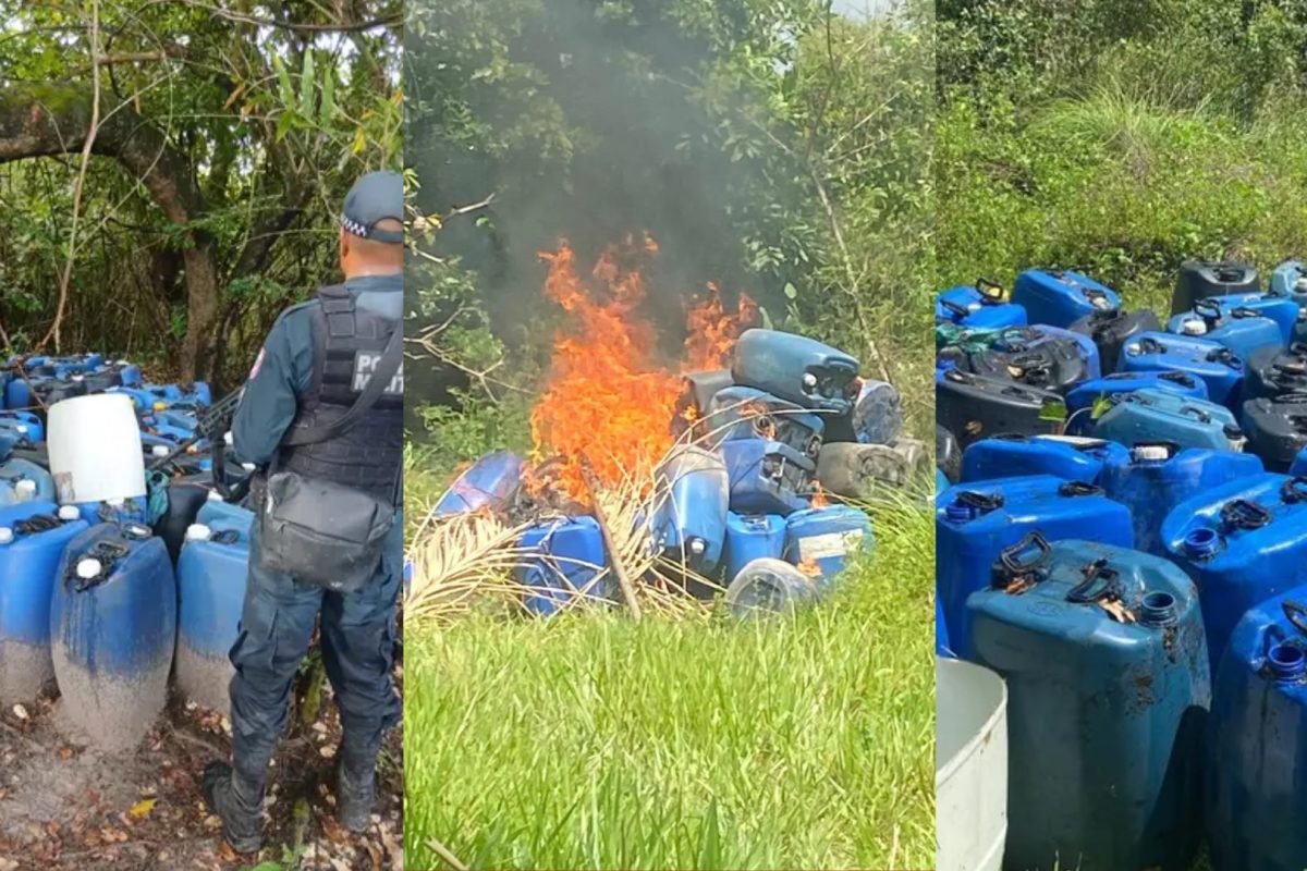 te e ao tipo do material, todos os produtos encontrados foram incinerados no pró