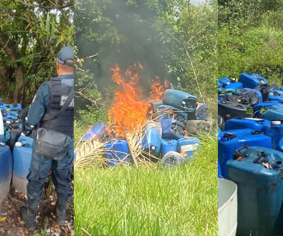 te e ao tipo do material, todos os produtos encontrados foram incinerados no pró