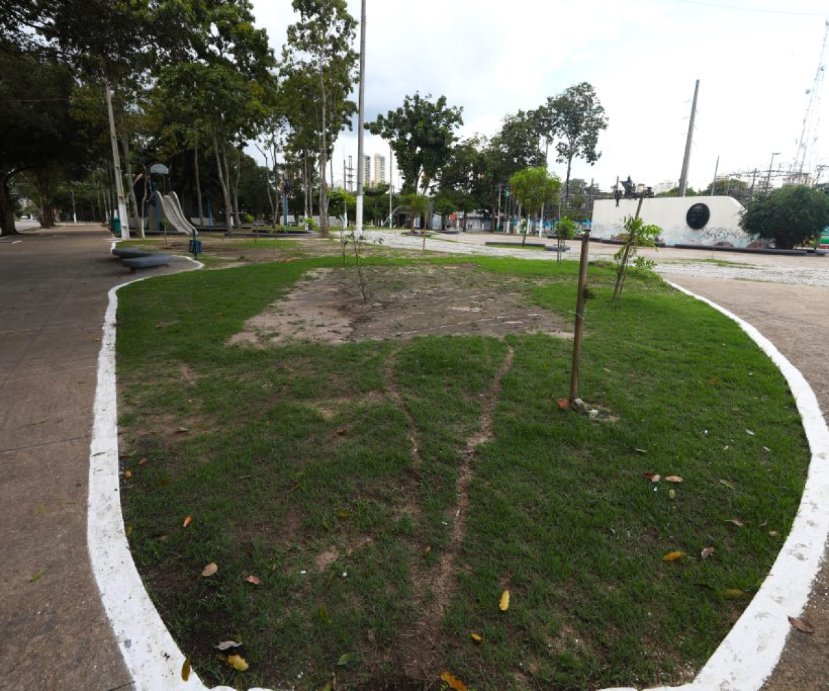 Infraestrutura verde em Belém busca combater alagamentos e mudanças climáticas