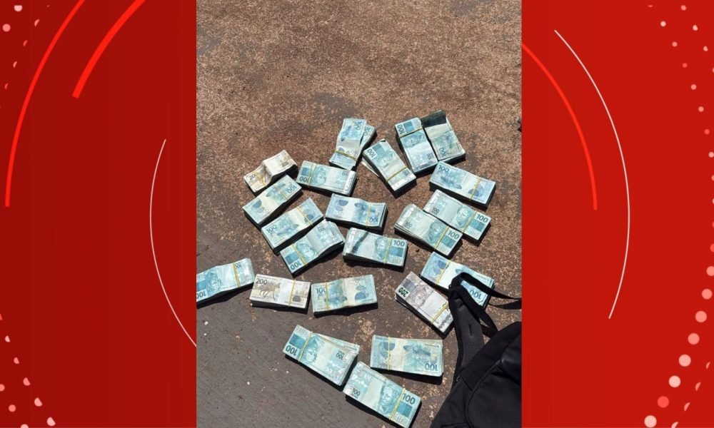 Foto: Polícia Civil/divulgação