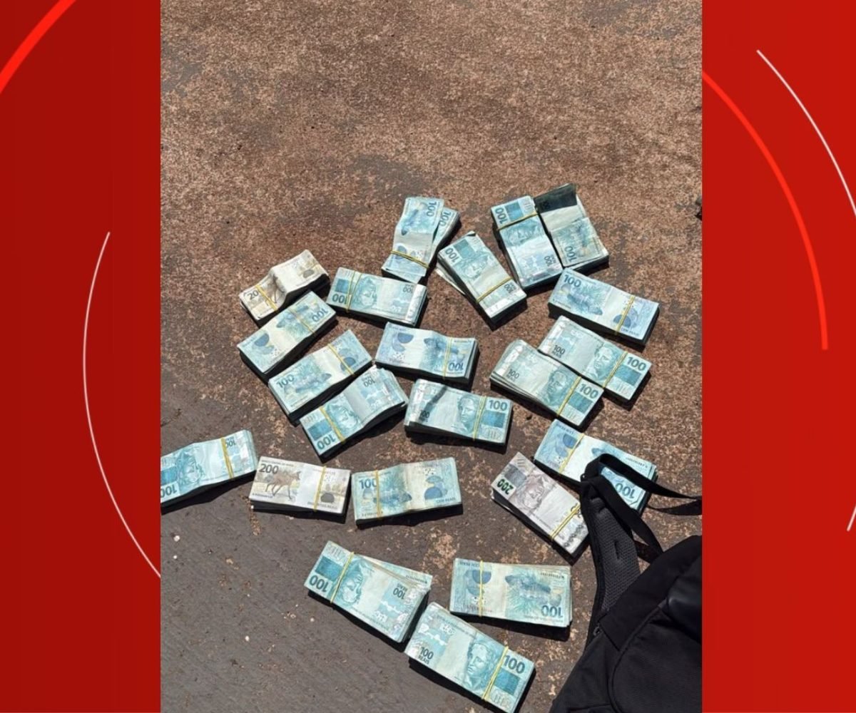Foto: Polícia Civil/divulgação