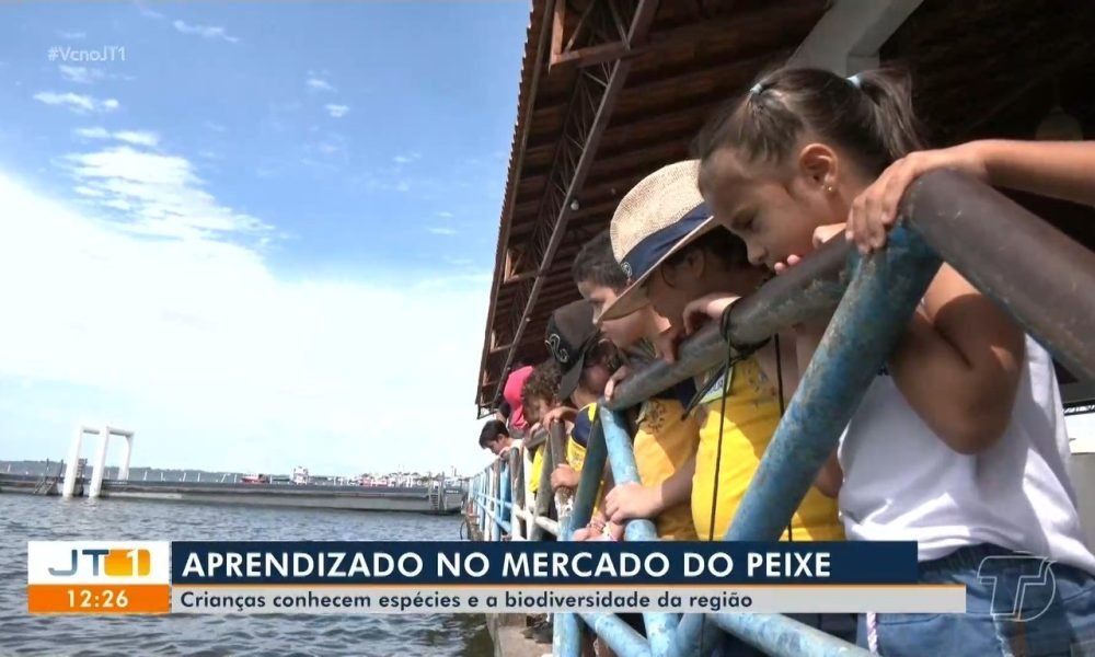 Estudantes observando as espécies de peixes no rio em frente a orla de Santarém Reprodução/TV Tapaj