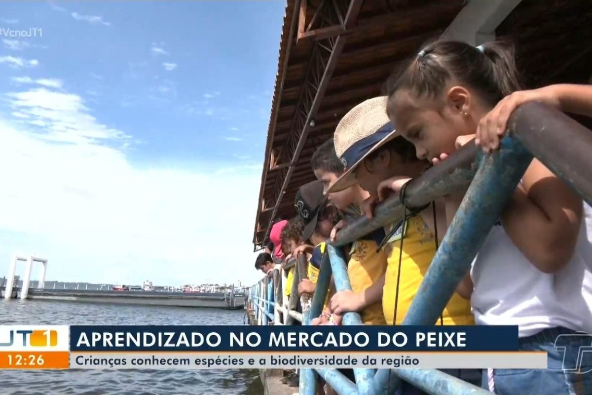 Estudantes observando as espécies de peixes no rio em frente a orla de Santarém Reprodução/TV Tapaj