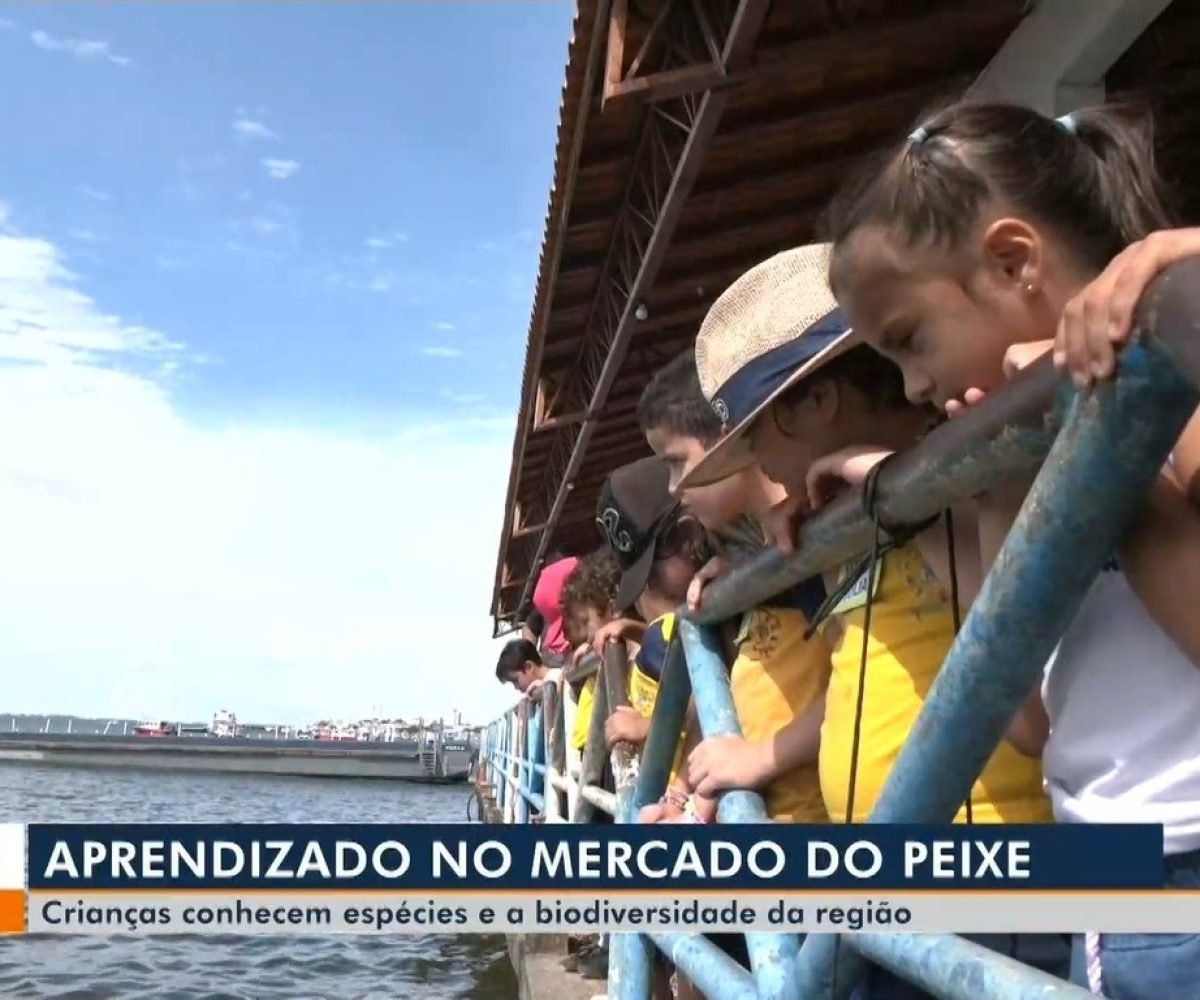 Estudantes observando as espécies de peixes no rio em frente a orla de Santarém Reprodução/TV Tapaj