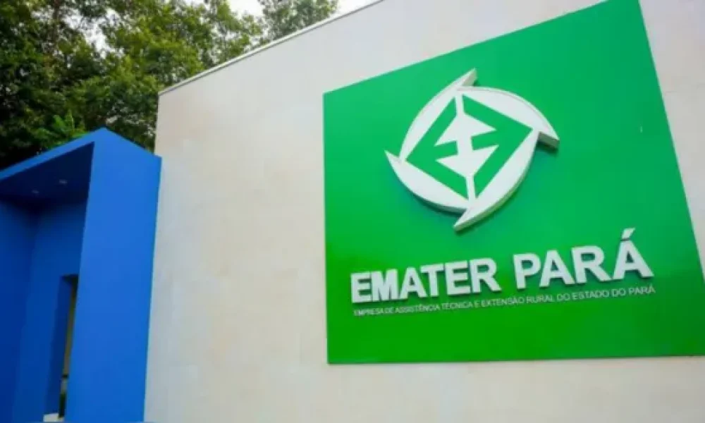 Emater Pará abre processo seletivo com vagas de nível médio e superior