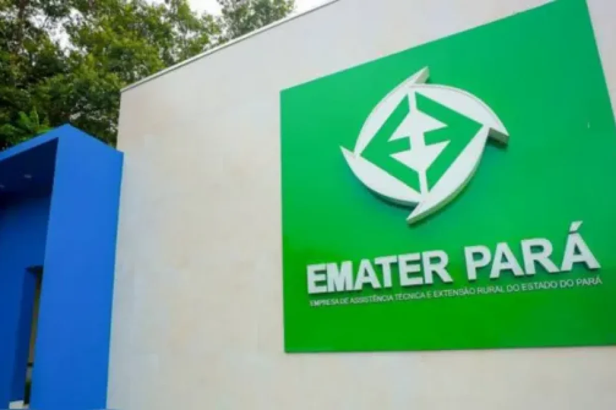 Emater Pará abre processo seletivo com vagas de nível médio e superior