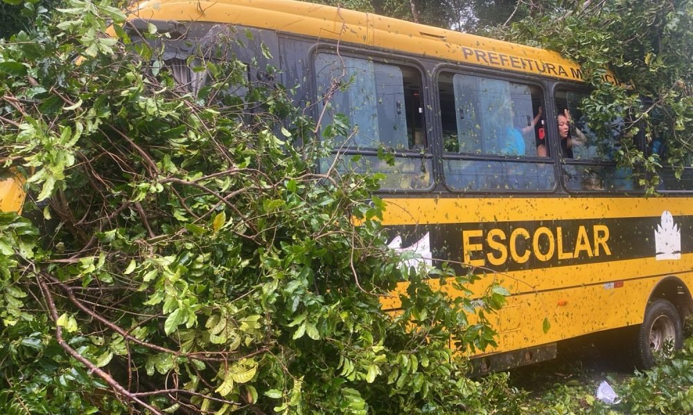 tava estudantes da zona rural de Quatipuru, no nordeste do Pará, foi atingido po