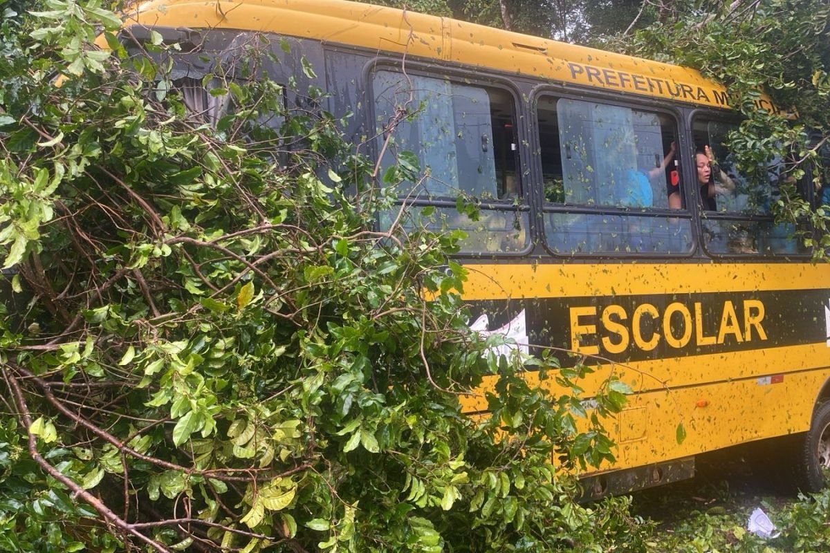 tava estudantes da zona rural de Quatipuru, no nordeste do Pará, foi atingido po