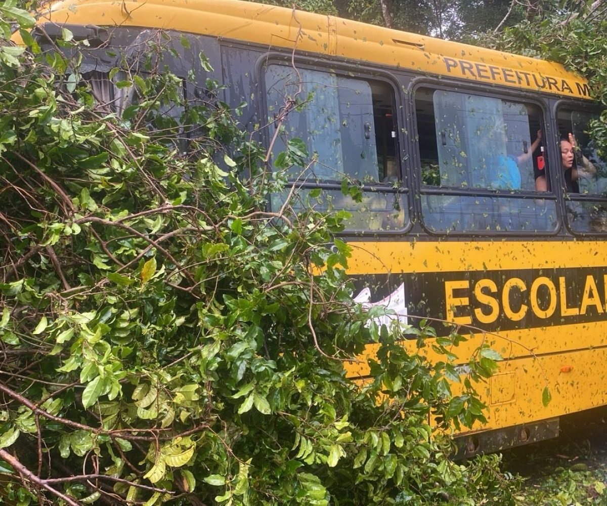 tava estudantes da zona rural de Quatipuru, no nordeste do Pará, foi atingido po
