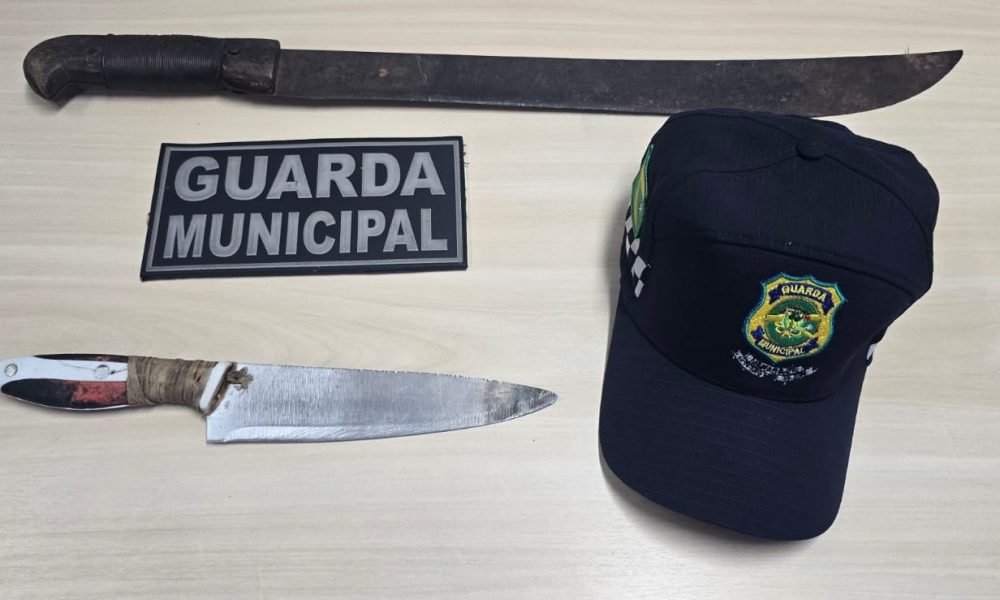 violência doméstica em Marabá Ascom/Guarda Municipal Uma mulher assistida pelo p