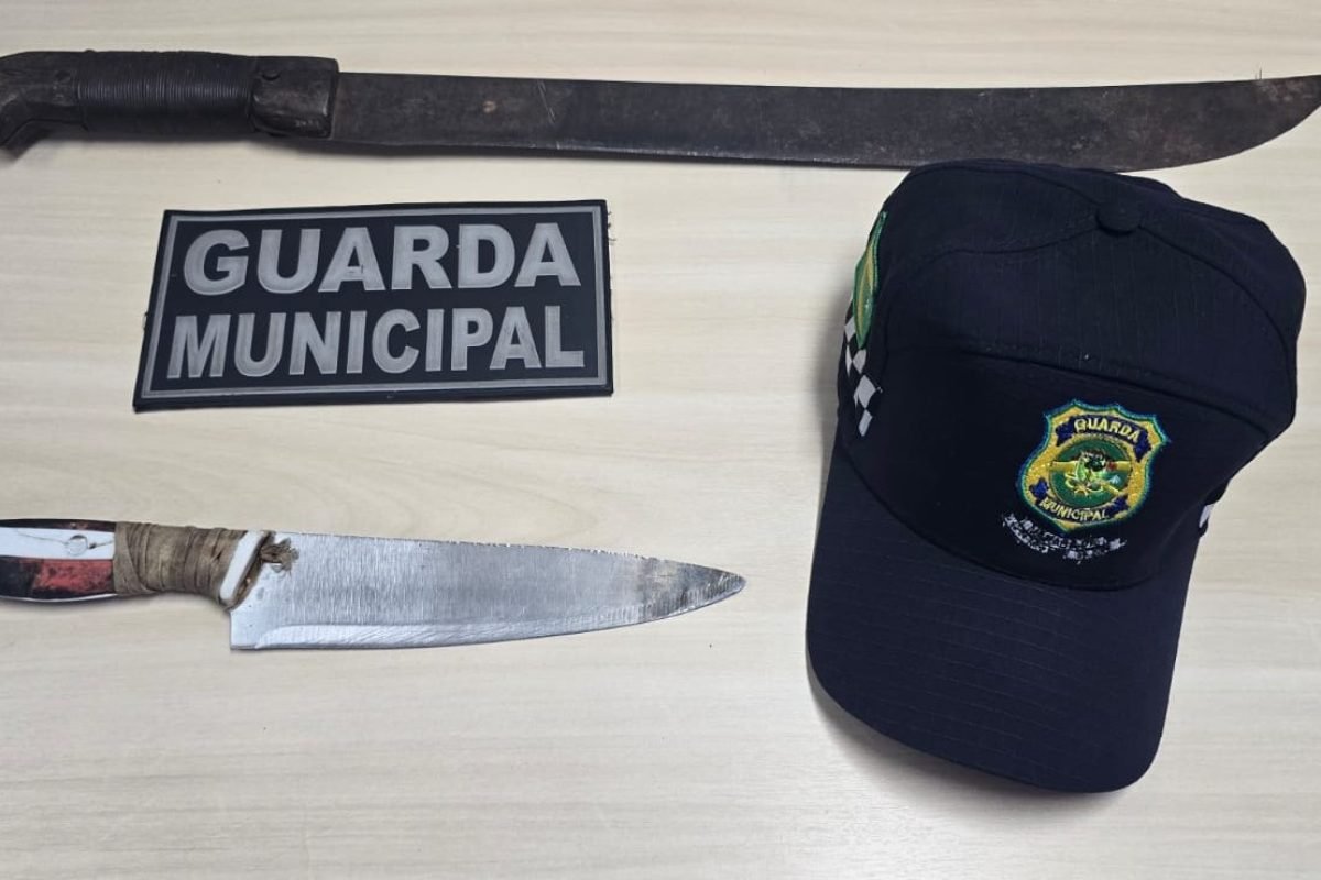 violência doméstica em Marabá Ascom/Guarda Municipal Uma mulher assistida pelo p