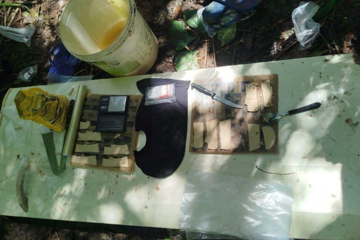 Polícia Militar desarticula laboratório de entorpecentes em área de mata de Icoaraci