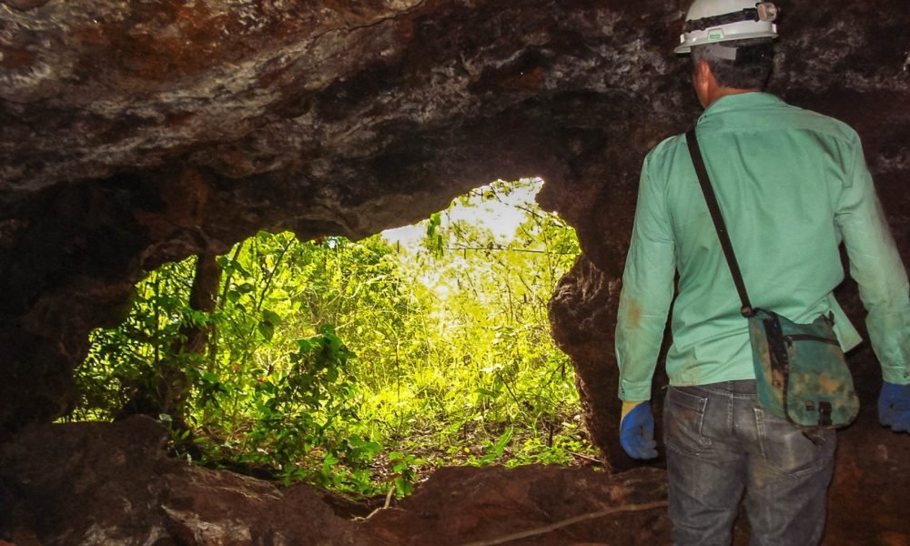 campos rupestres ferruginosos, cavernas, ambientes aquáticos e espécies endêmica